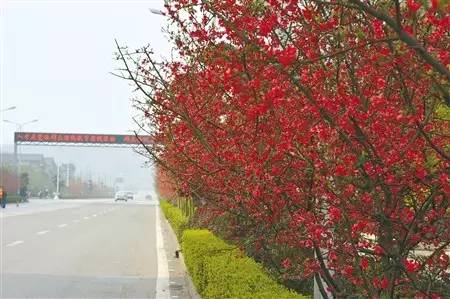 甘肃姑娘都这么漂亮的么,甘肃哪里的姑娘最好