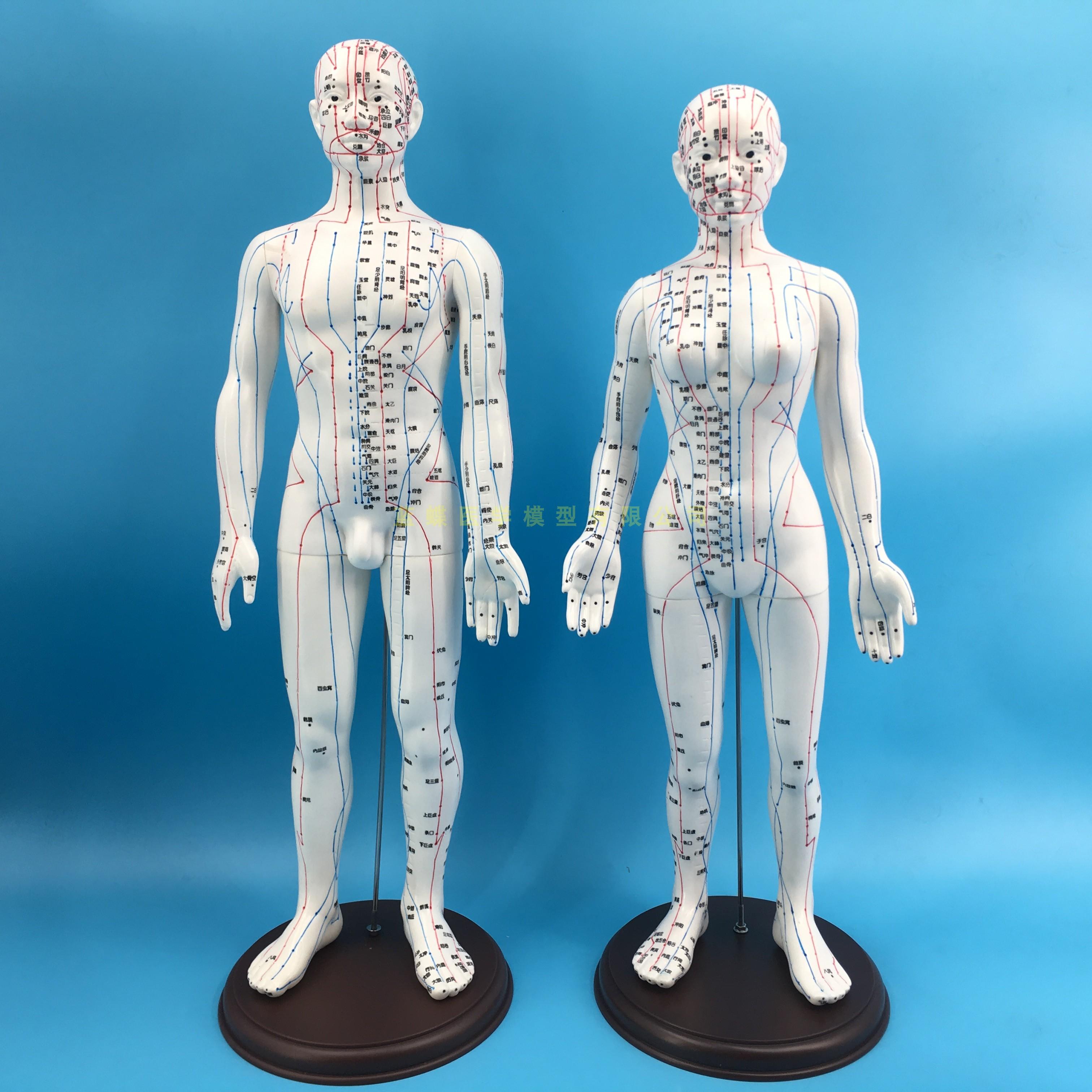 针灸学太白在哪条经脉,再看针灸学之经脉篇