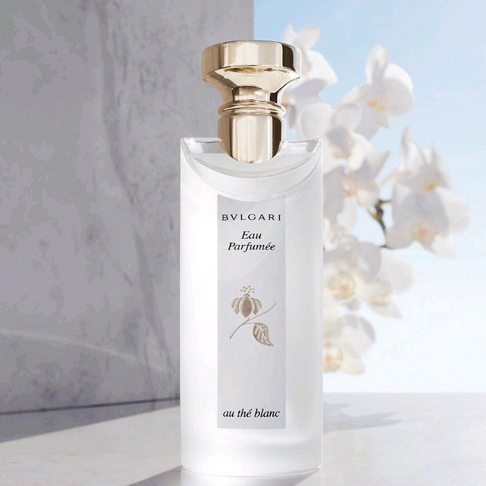 想买香水哪个牌子好呢,想买香水又闻不到怎么办