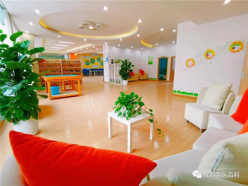 成都四七九初中有哪些,成都四七九中分别是哪些学校