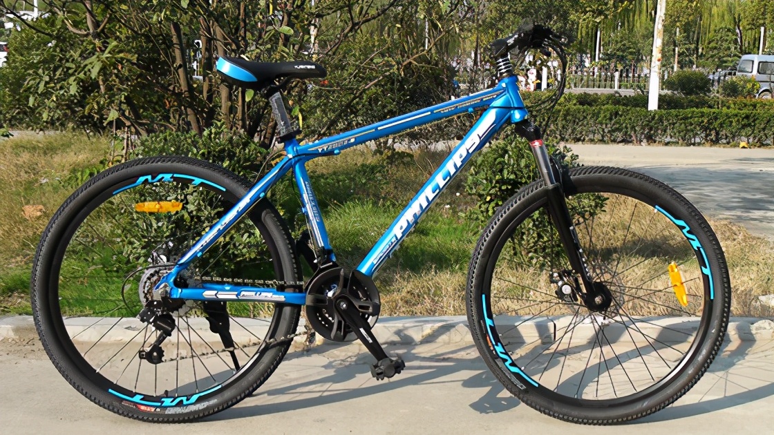 嘉兴自行车品牌大雁牌,嘉兴产的老自行车