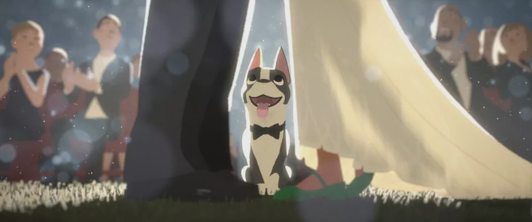 适合孩子看的奥斯卡获奖动画片,适合儿童看的奥斯卡最佳动画短片