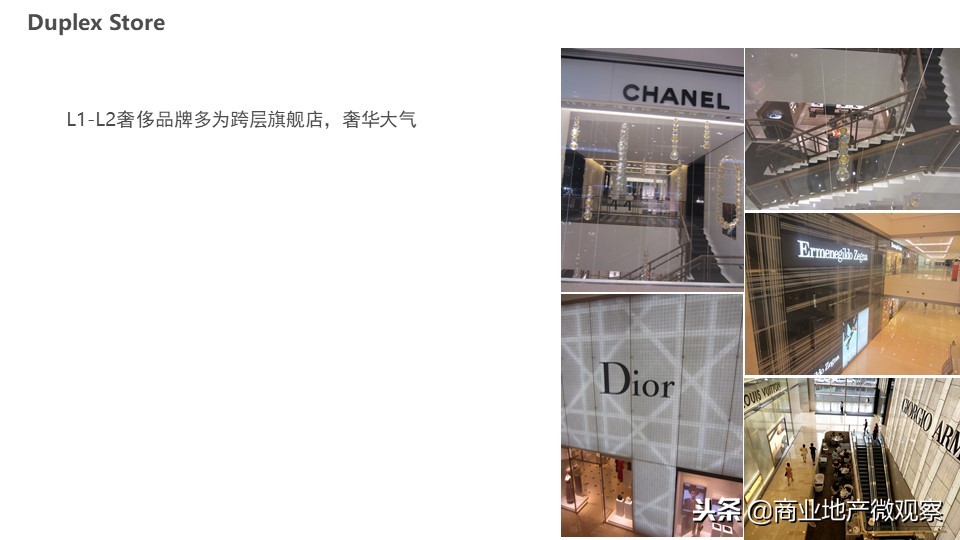 在成都看ifs熊猫,成都ifs上的爬墙大熊猫