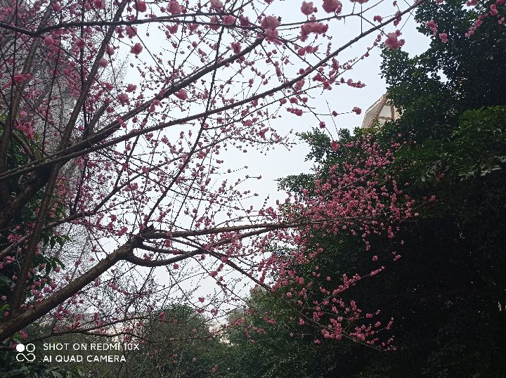 闷恋一一新小说连载,41母亲10000针缝布鞋,草鞋情深