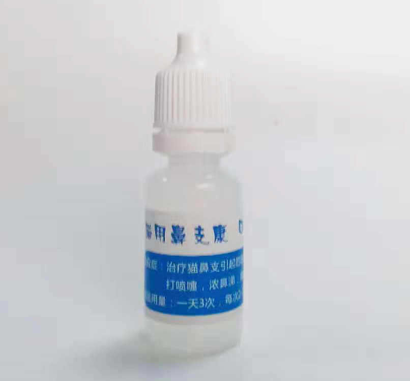 猫咪有脓性眼屎是怎么回事,猫咪眼屎流脓是为什么