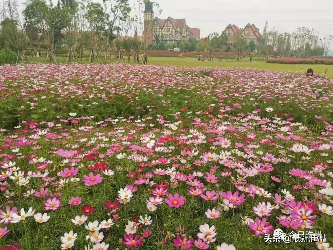 淮安人的骄傲更是中国人的骄傲,淮安人的骄傲