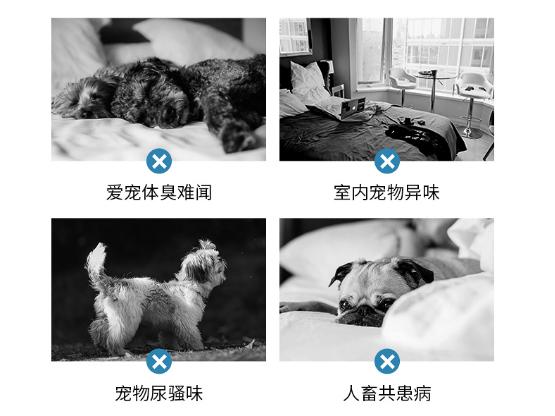 薅羊毛捡漏好物推荐直播,狗狗梳毛好物推荐