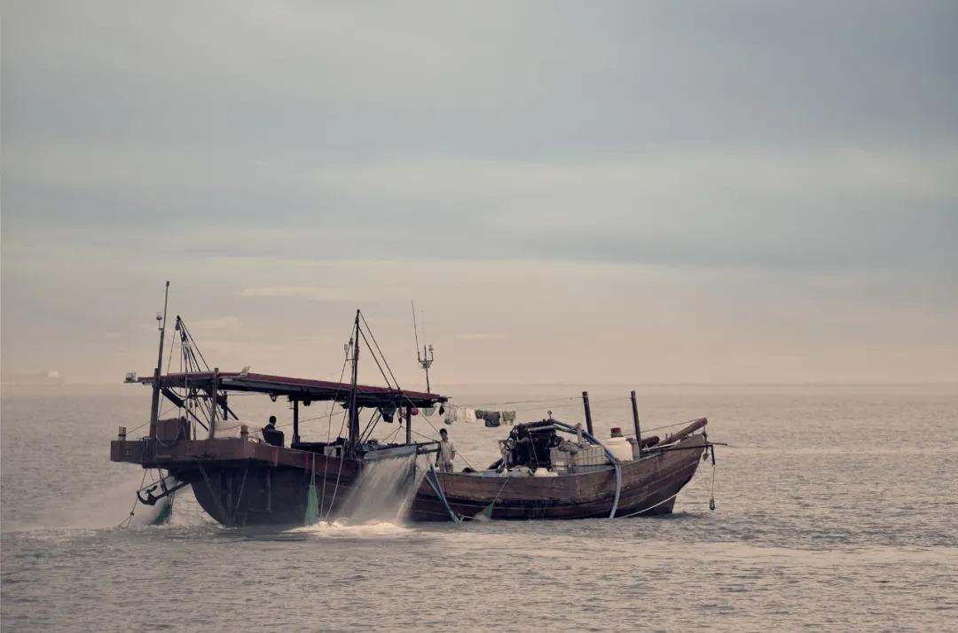 津门网向杰：盈滨半岛夕阳红