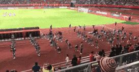 给中国足协陈主席一封信:不惜代价豪赌世界杯是急功近利舍本逐末