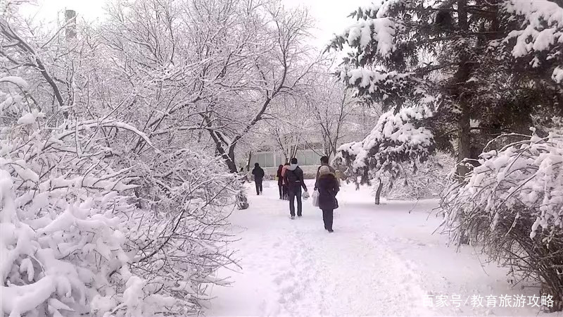 专科里的小清华是山东哪所学校,辽宁专科小清华