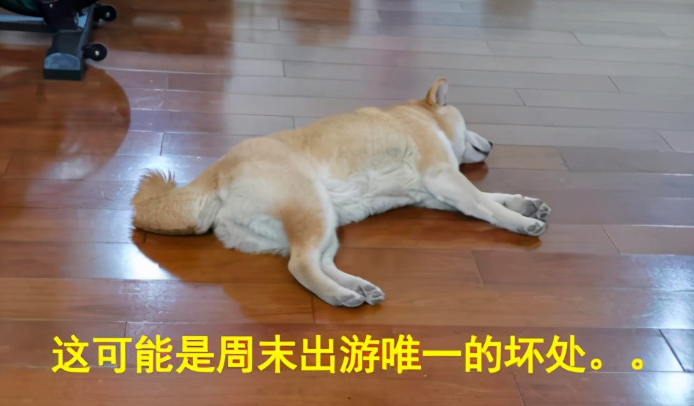 记我的一次旅行600字记叙文,记一次游玩经历600字