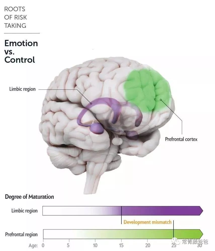父母毁掉亲子关系,父母怎么毁掉亲子关系