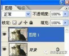 朱朱运营之家：学习PS工具箱中的模糊/锐化/涂抹工具