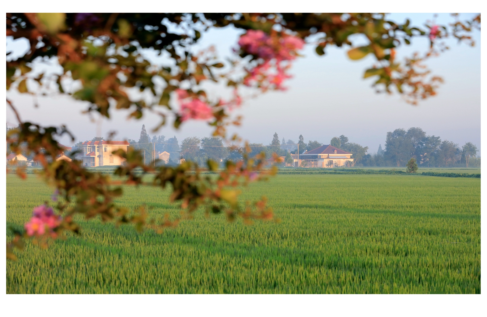 江苏海安曲塘古镇,海安市曲塘