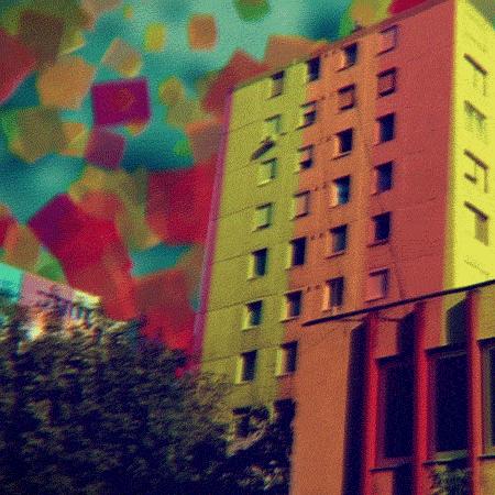 防食物中毒安全知识,吃菌的3个安全原则