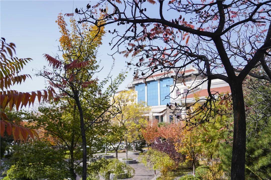 思源学院美景照片,西安思源学院秋景色