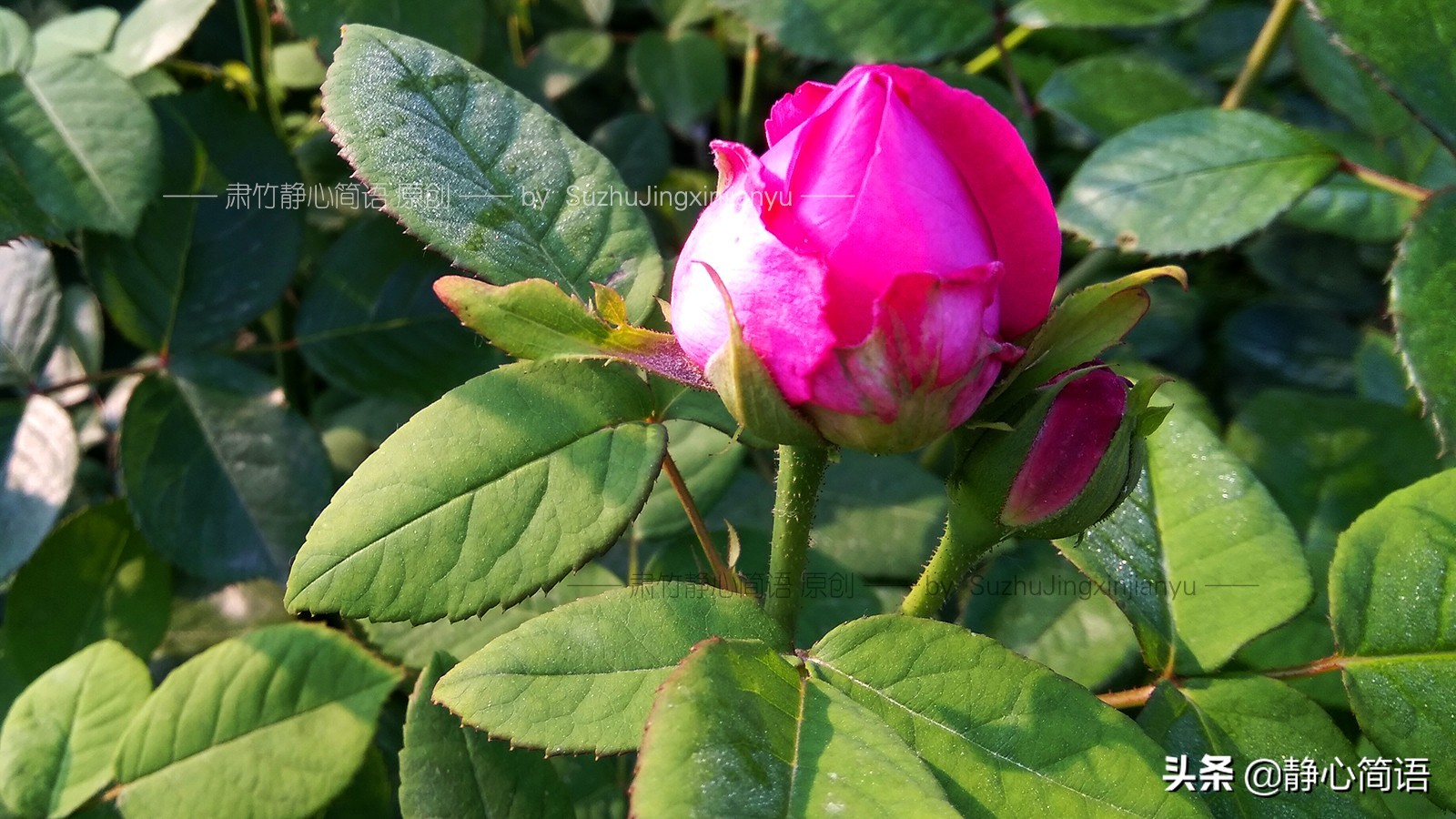 我也曾是学霸，不是因为我多强，是因为环境太差