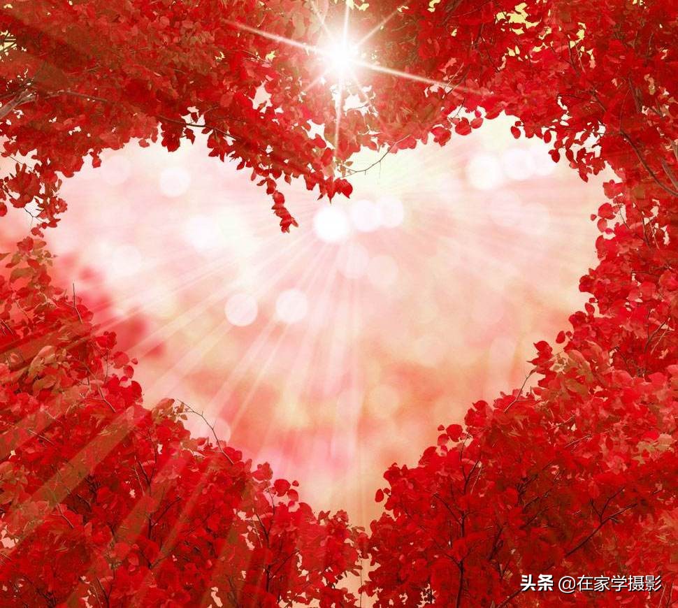 拍的红叶视频怎么调,拍的红叶视频