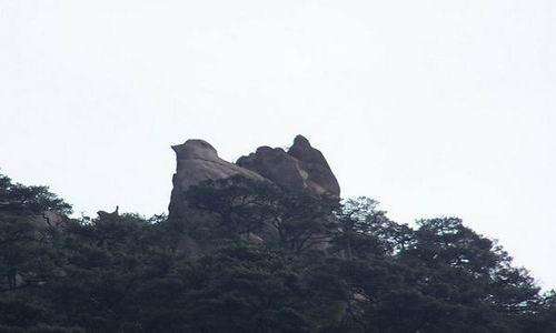 黄山风景区天狗望月,黄山奇景天狗望月