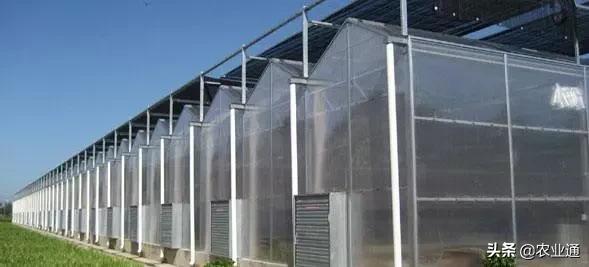 最新的温室大棚技术,小型温室大棚用什么样的大棚