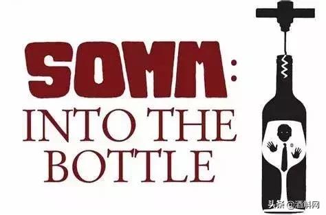 葡萄酒历史纪录片,十部顶级葡萄酒纪录片中英字幕