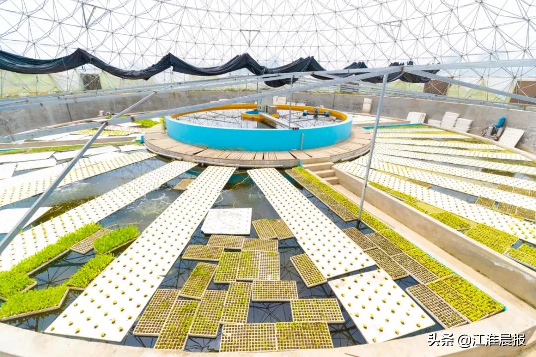 民宿大锅灶,民宿大锅灶房