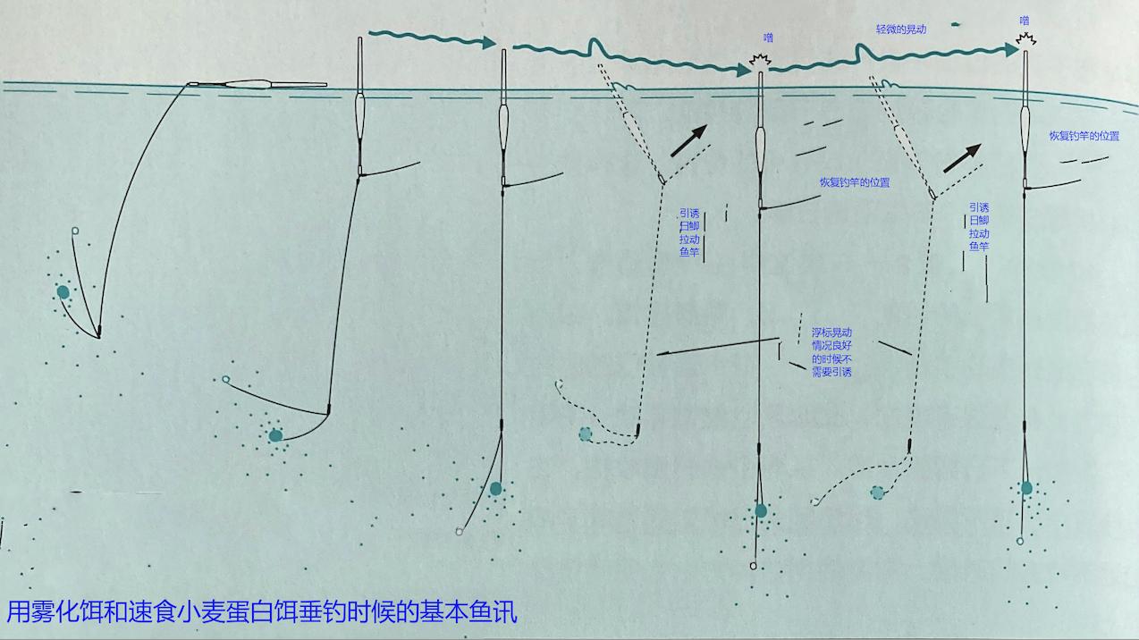 日本钓鲫鱼用什么饵料,暖春钓鲫鱼饵料配方表