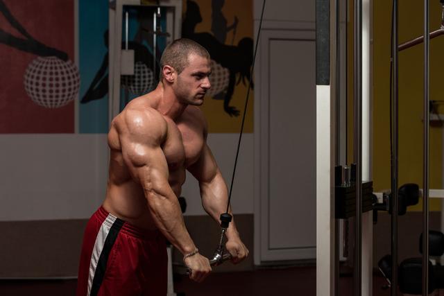 肱三头肌力量不够怎么练,肱三头肌特别弱怎么练