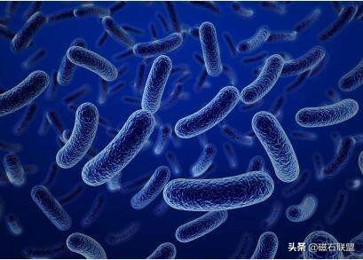 当狗狗误食有毒食物怎么办,收下这篇急救贴士,让您不再束手无策