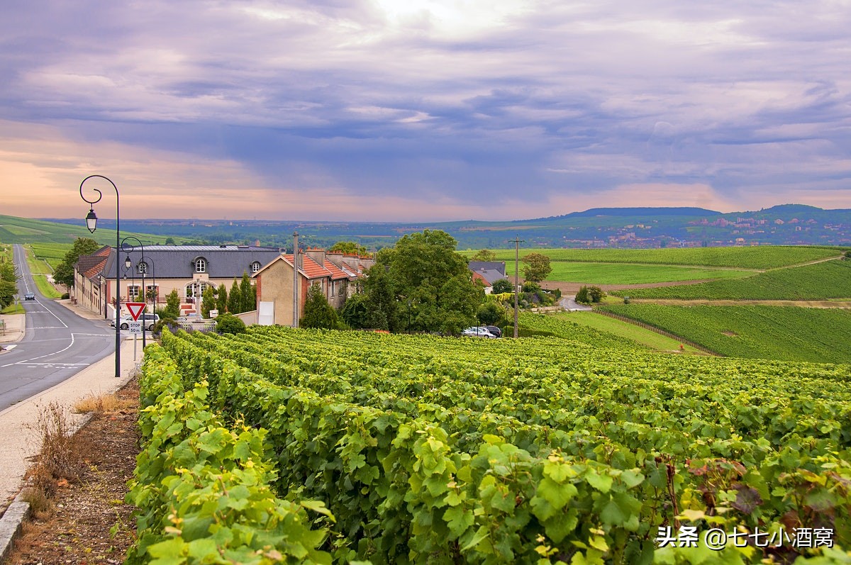 香槟酒的历史,香槟的历史故事