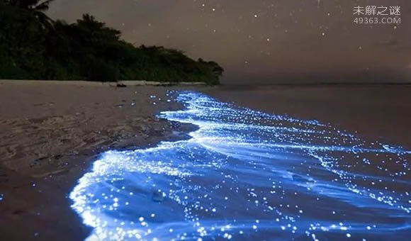 印尼美丽的海滩,世界上唯一的粉色海滩