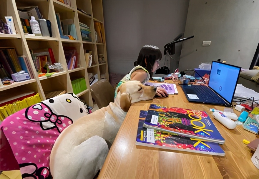 老师点名让狗一起上网课,可狗子的反应……哈哈哈哈