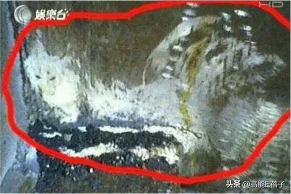 真实事件改编（十五）：她是完美情人，却只想吃了你