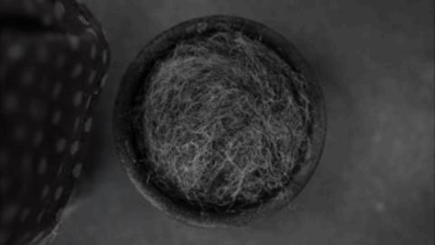 定格动画治愈系短片,定格动画电影一个女孩