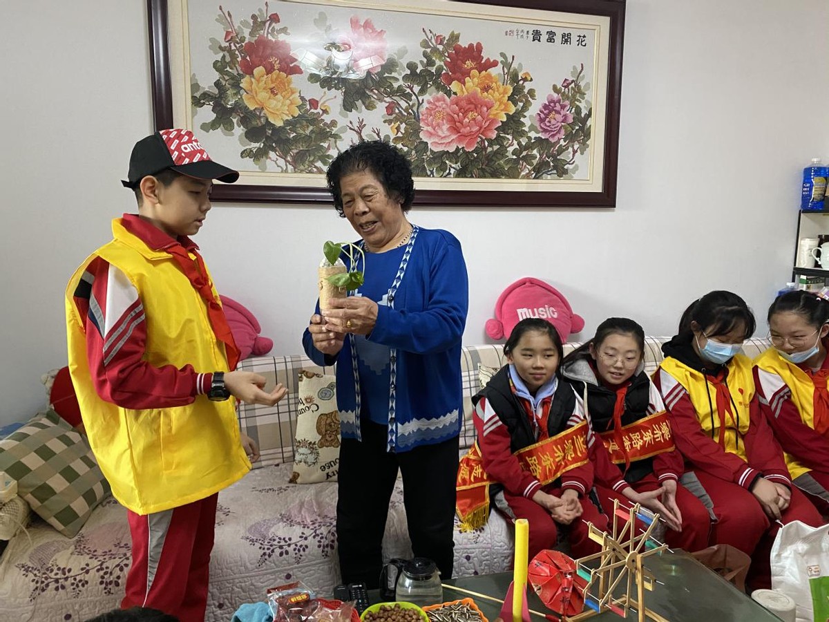 雏鹰小队进社区志愿服务活动,雏鹰假日小队志愿服务活动