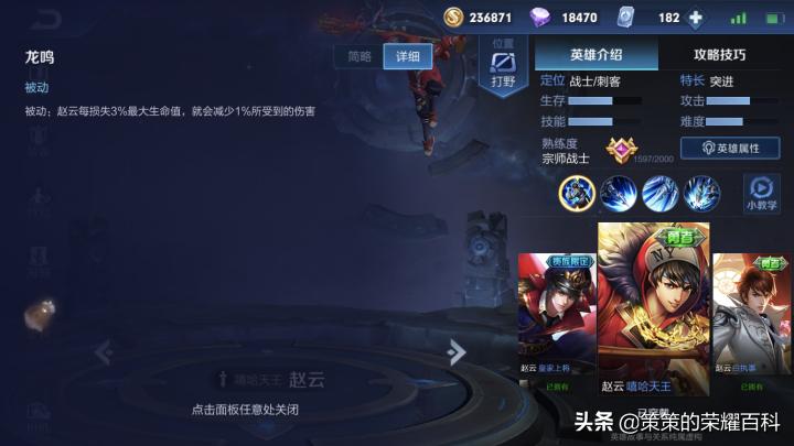 王者荣耀国服第一赵云铭文出装,王者荣耀赵云国服实战打法