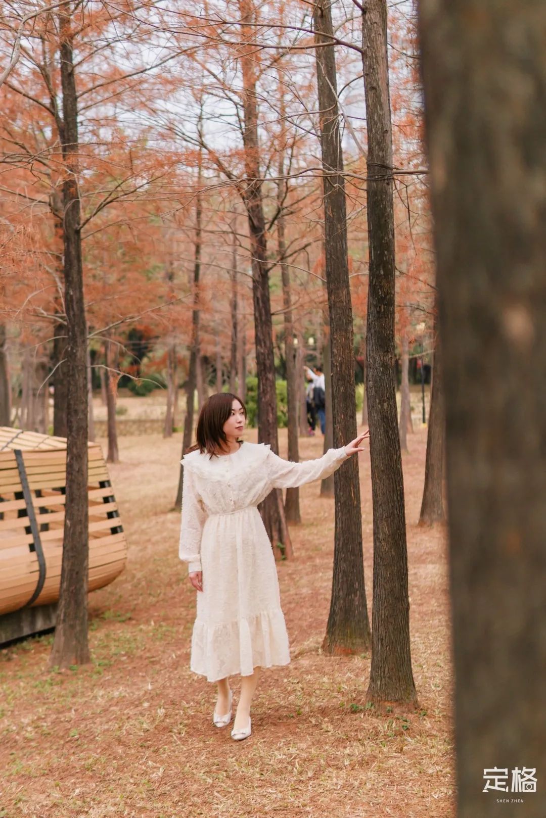 莲花山为啥一夜就火了,莲花山景区