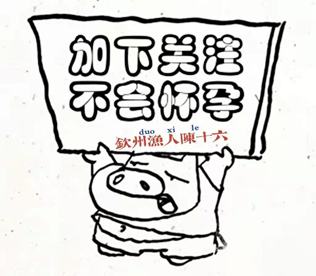 水产养殖成为最赚钱行业,在农村水产养殖什么回本快