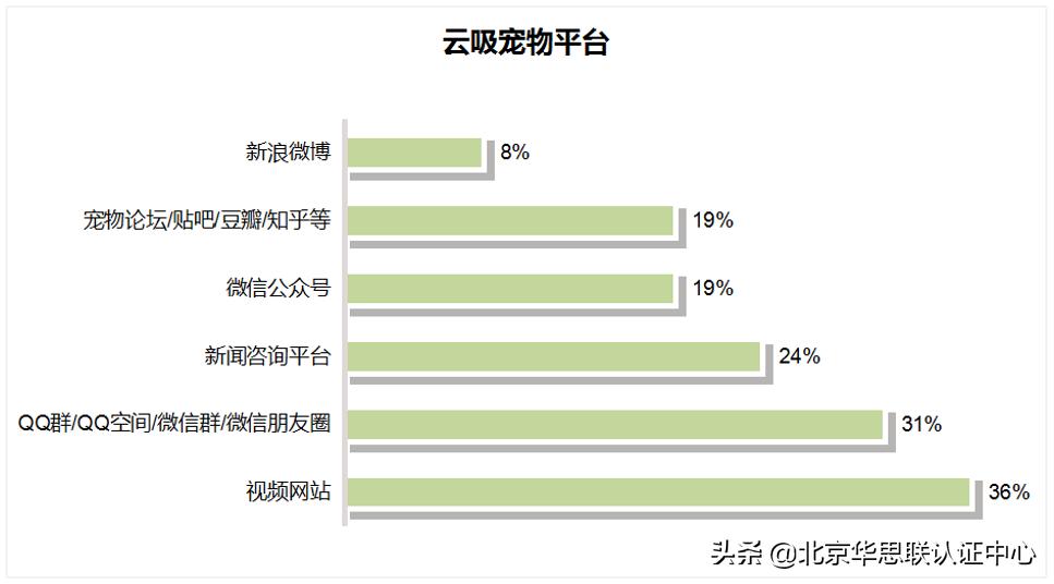 宠物电商为什么没有爆发,宠物行业电商市场