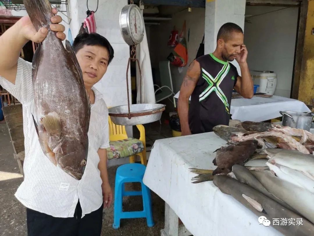 三进三出哥伦比亚送鲜花求爱，沪C穿越五大洲、第一次在南美相亲