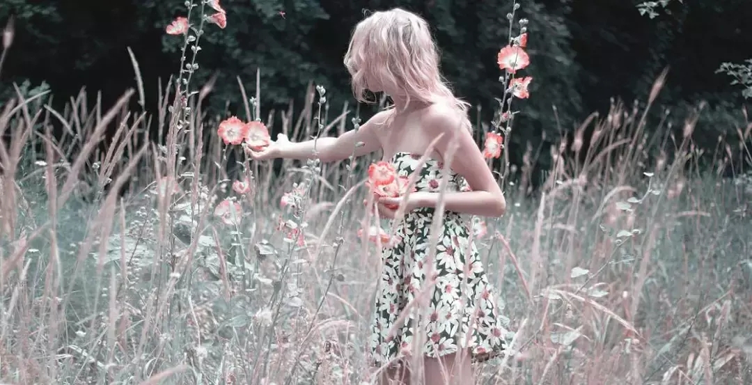 瀹夊埄鍥介檯澶х墝浜у搧,瀹夊埄澶х墝浜у搧