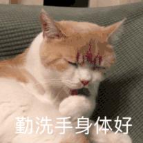 老年人肠胃镜检查,65岁老人胃肠镜检查