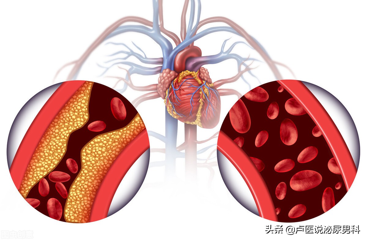 男性补充叶酸的作用与功效,男性补充叶酸有什么副作用