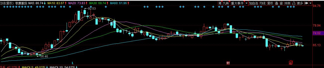 猪价跌回原形云南生猪价,牧原股份为何股价暴跌