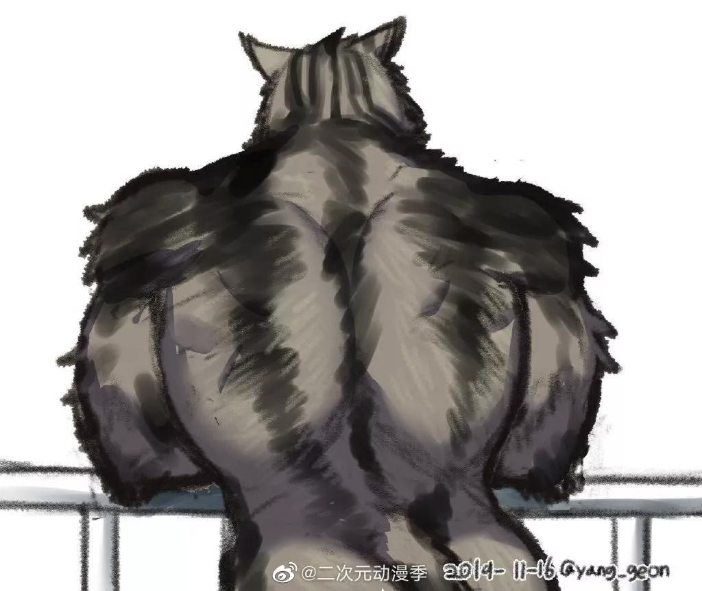 又一位肌肉*男猛**出现了，这个系列永不完结……