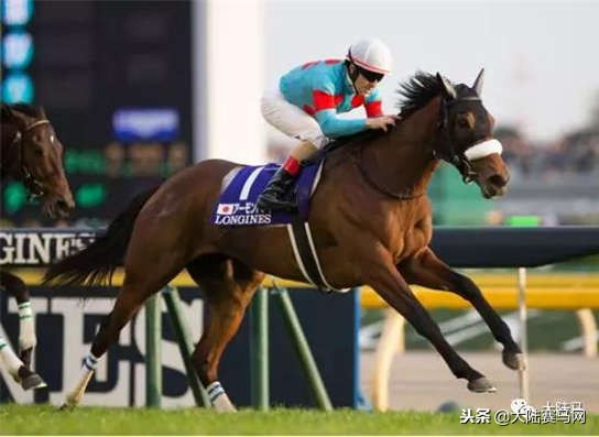 千万不要放弃一件事情,千万不要轻易的放弃