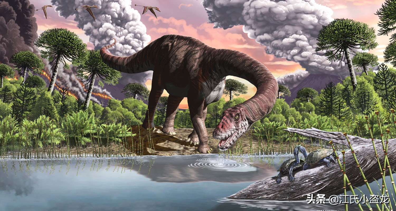 古生物时代有多少种恐龙,人类已经发现了多少恐龙种类