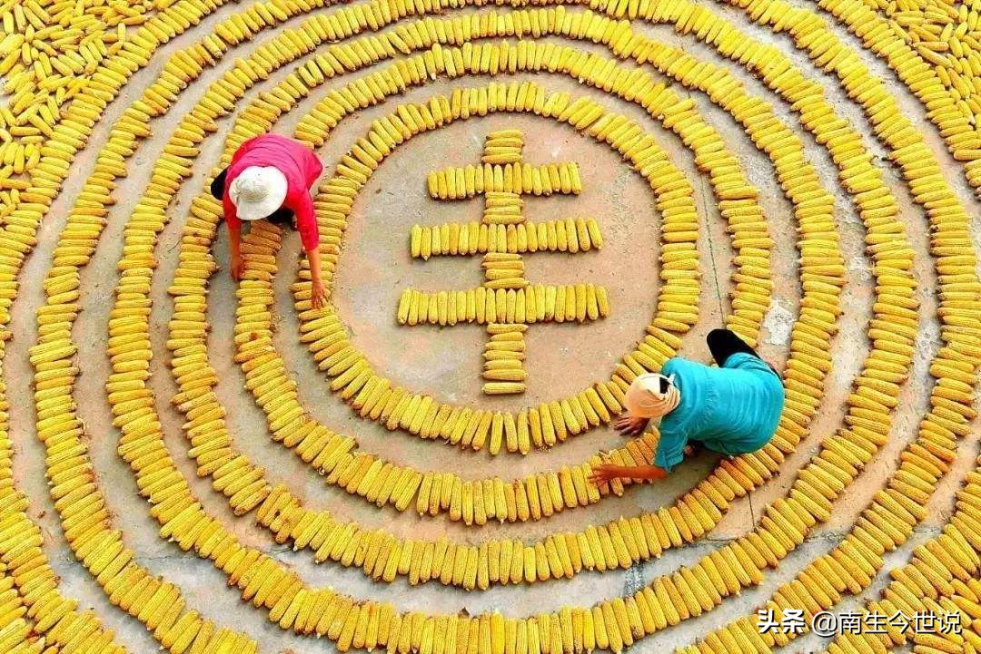 2018年东北粮食产量约全国的20.3%,是国家压舱石,其他省份呢?