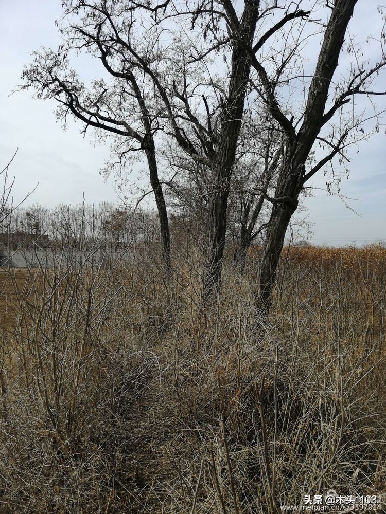 在路上之南迦巴瓦,在路上之川西美景