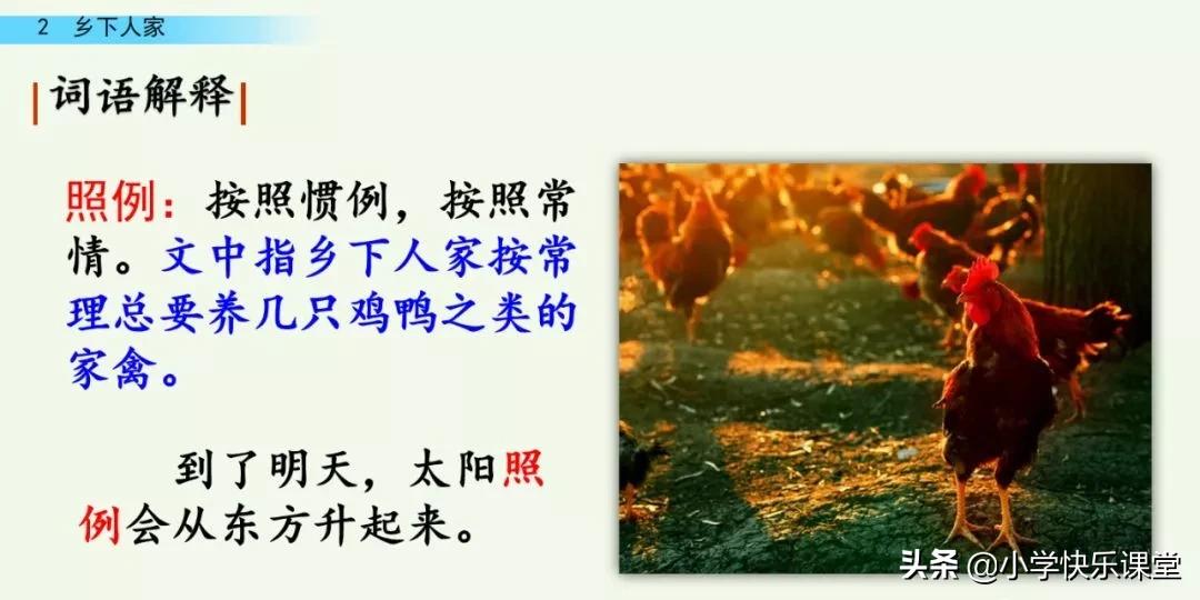 部编四年级下册语文乡下人家练习,部编版四年级下乡下人家同步练习